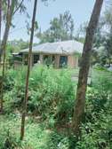 THREE BEDROOMS HOUSE IN KAKAMEGA