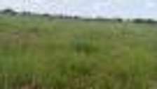 Affordable prime plots at sabaki