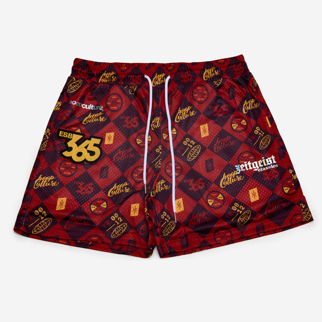 Youth - HC Chequer Classic Mesh Shorts - Hoop Culture 
