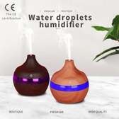 300ml humidifier