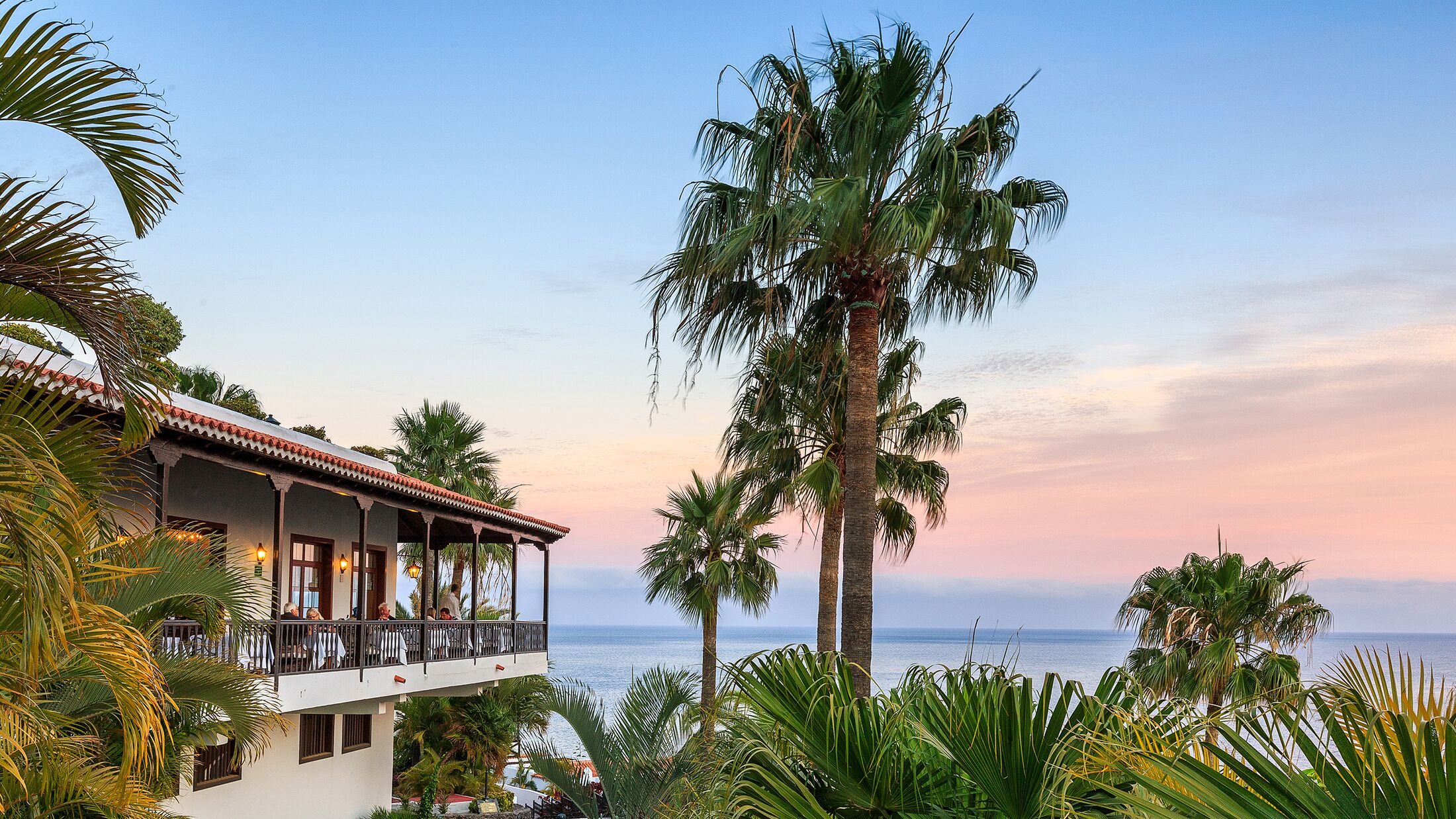 a palm tree in front of a house