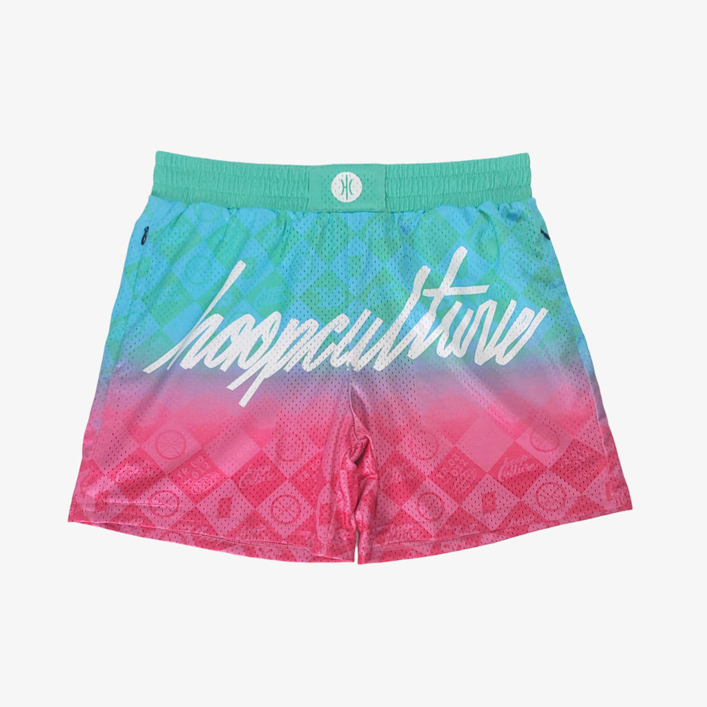 Hoop Culture Scripts Theory Mesh Shorts - Hoop Culture 