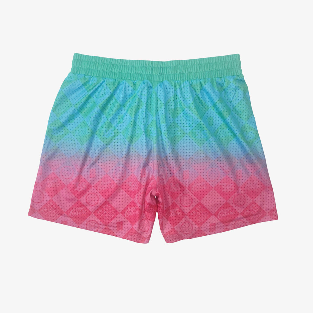 Hoop Culture Scripts Theory Mesh Shorts - Hoop Culture