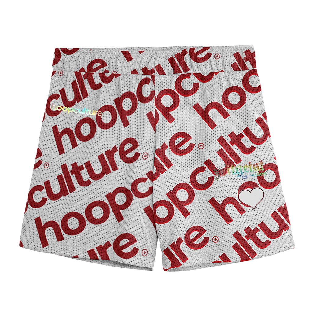 Youth - Zeitgeist Bulls Mesh Shorts - Hoop Culture 